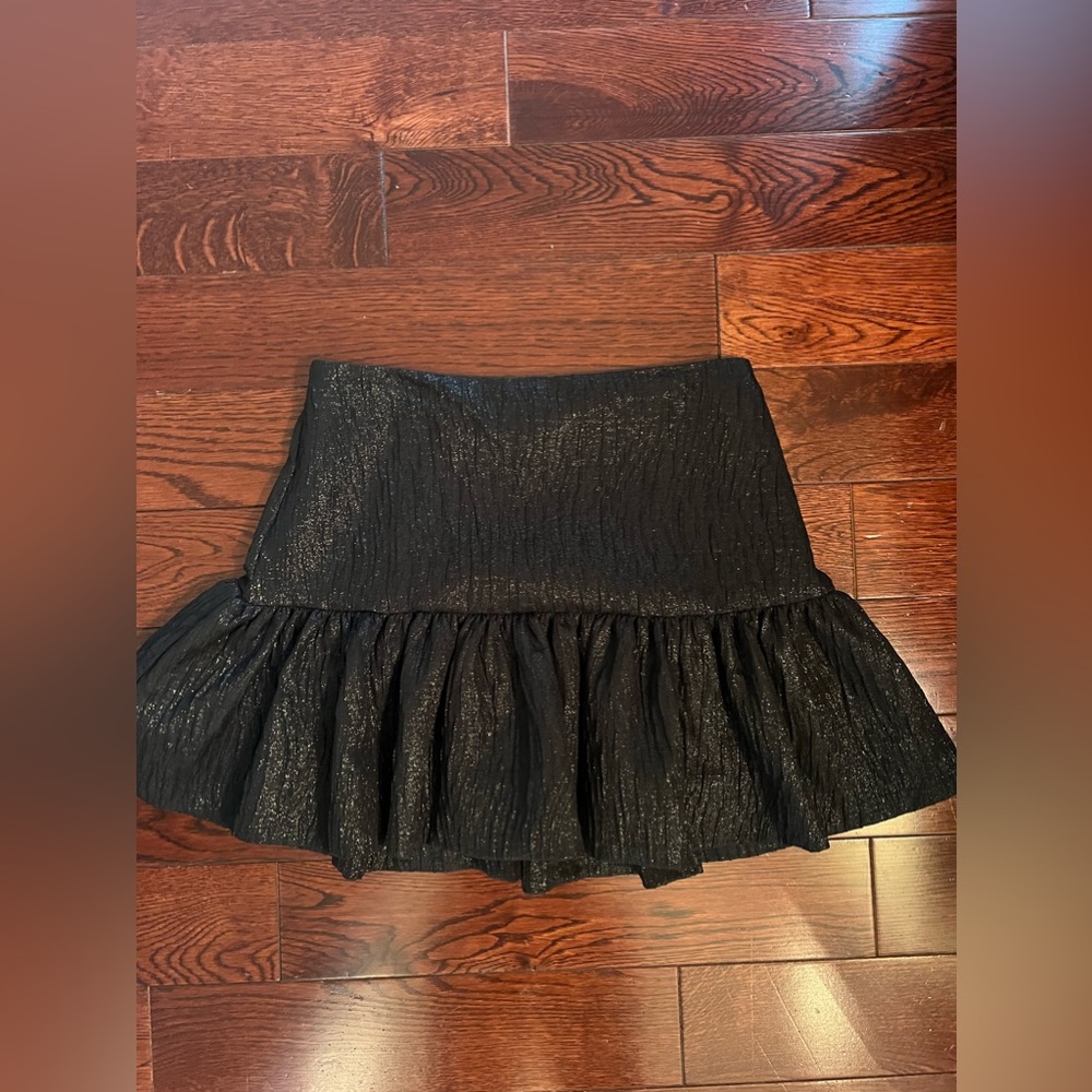 Zara Skirt
